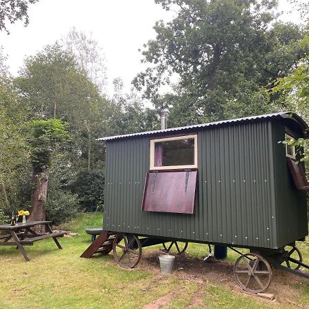 The Shepherd'S Hut - Wild Escapes Wrenbury Off Grid Glamping - Ages 12 And Over Baddiley Eksteriør billede