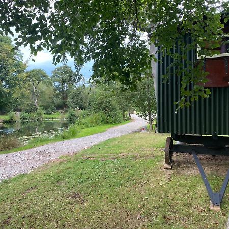 The Shepherd'S Hut - Wild Escapes Wrenbury Off Grid Glamping - Ages 12 And Over Baddiley Eksteriør billede
