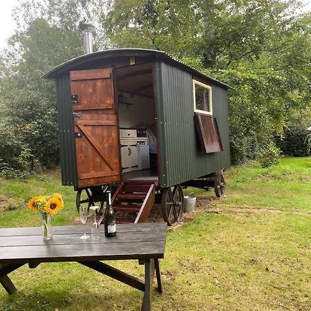 The Shepherd'S Hut - Wild Escapes Wrenbury Off Grid Glamping - Ages 12 And Over Baddiley Eksteriør billede