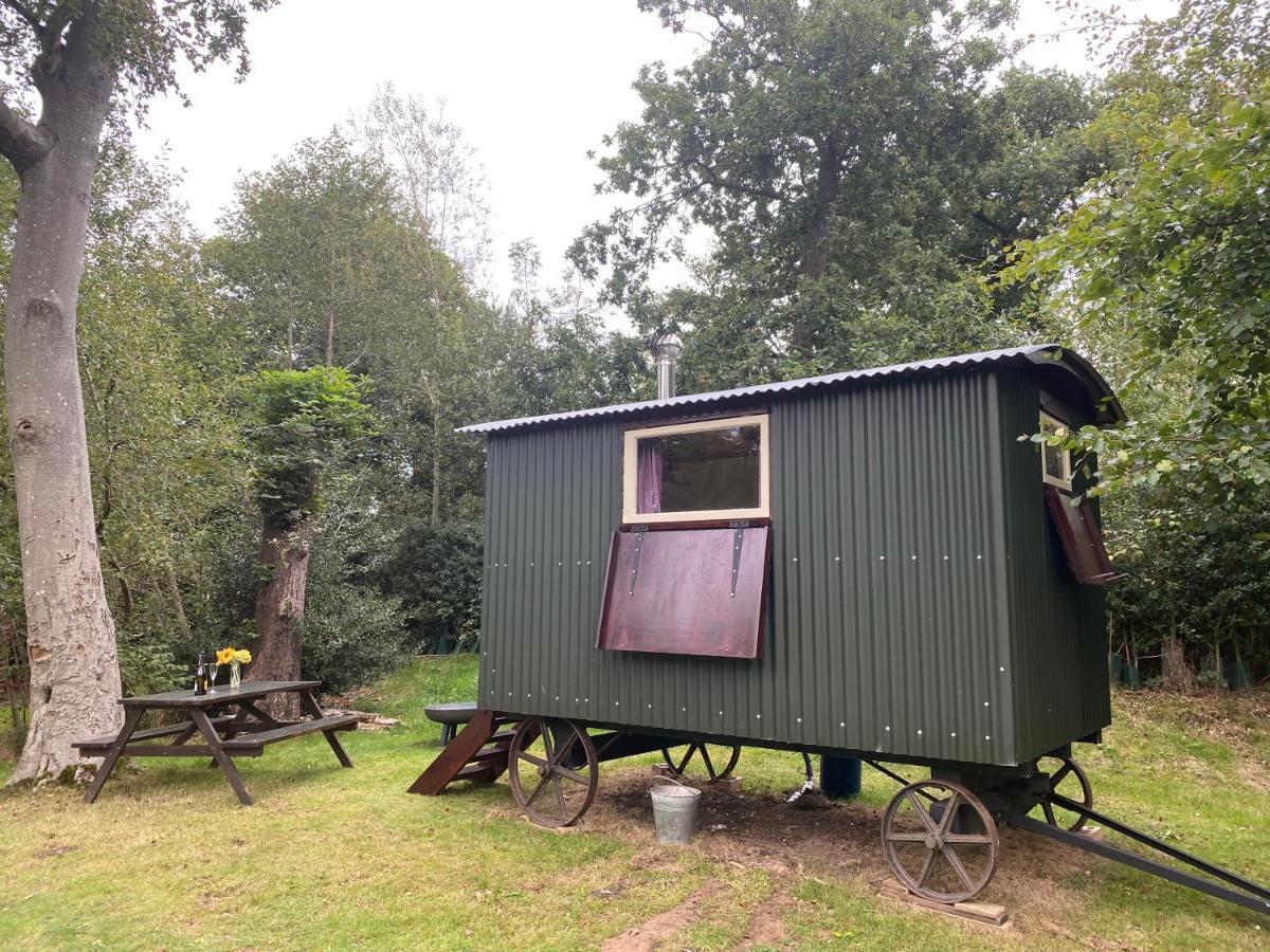 The Shepherd'S Hut - Wild Escapes Wrenbury Off Grid Glamping - Ages 12 And Over Baddiley Eksteriør billede