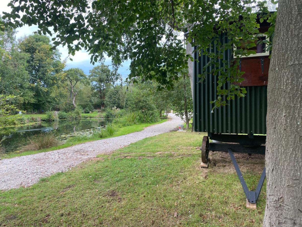 The Shepherd'S Hut - Wild Escapes Wrenbury Off Grid Glamping - Ages 12 And Over Baddiley Eksteriør billede