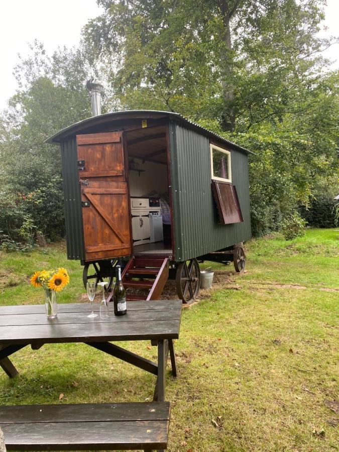 The Shepherd'S Hut - Wild Escapes Wrenbury Off Grid Glamping - Ages 12 And Over Baddiley Eksteriør billede