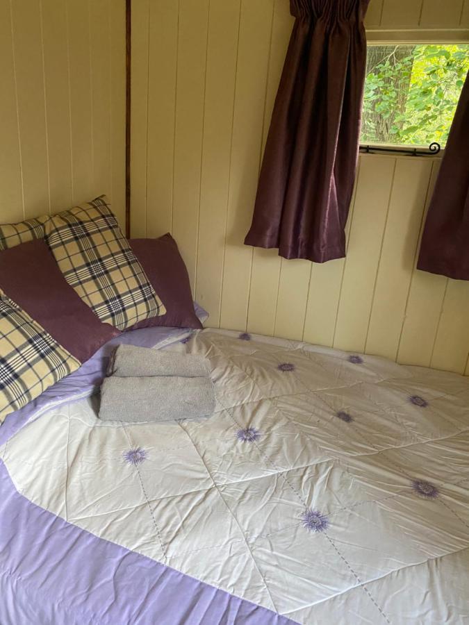 The Shepherd'S Hut - Wild Escapes Wrenbury Off Grid Glamping - Ages 12 And Over Baddiley Eksteriør billede