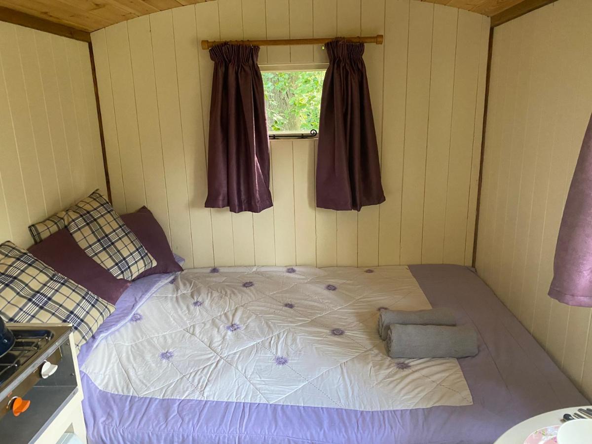 The Shepherd'S Hut - Wild Escapes Wrenbury Off Grid Glamping - Ages 12 And Over Baddiley Eksteriør billede